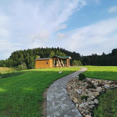 Forest Kscava