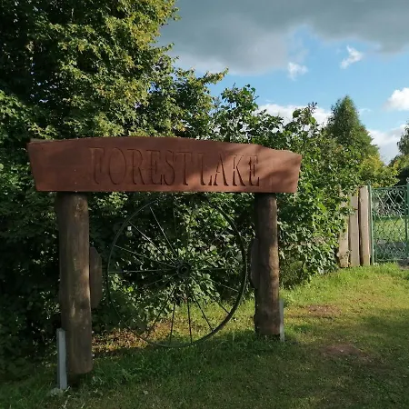 Forest Kscava